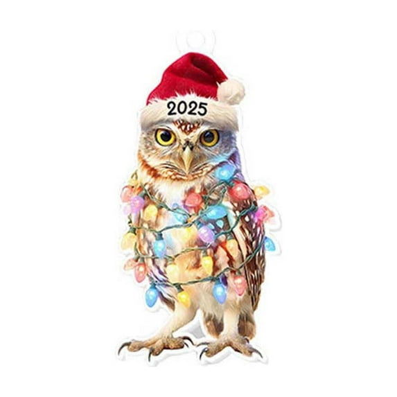 Hometravel Acrylic Christmas Decor, 2D Flat Design for Tree Display, Festive Ornament for Holiday Season, Seasonal Home Accent Piece