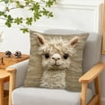 thumbnail image 1 of Hometravel Alpaca Print Pillow, 45x45cm Animal Design Cushion, Soft Cover for Living Room and Bedroom Decor, 1 of 6