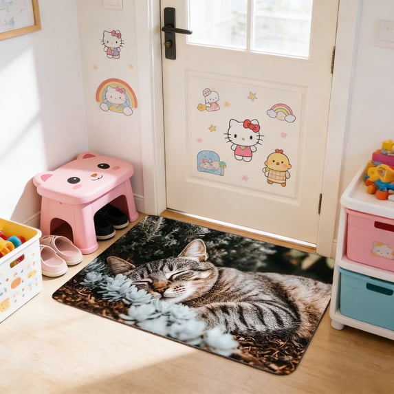 Hometravel Cat Themed Floor Mat, Non Slip Absorbent Rug for Bedroom Porch Hallway, Cute Pet Lover Home Decor, Easy Clean Door Mat, 40x60 cm Size
