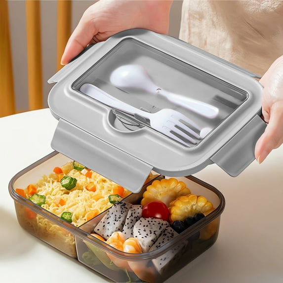 Hometravel Insulated Compartment Lunch Box, Leakproof Microwave Safe Food Container for Office, Portable Meal Prep Box with Dividers for Bento, Picnic, Daily Use