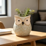 Hometravel Owl Ceramic Flower Pot, Planter Home Garden Decor Pot, Japanese Korean Cute Owl Design for Succulents, Cactus, Small Plants, Windowsill, Desk, Shelf