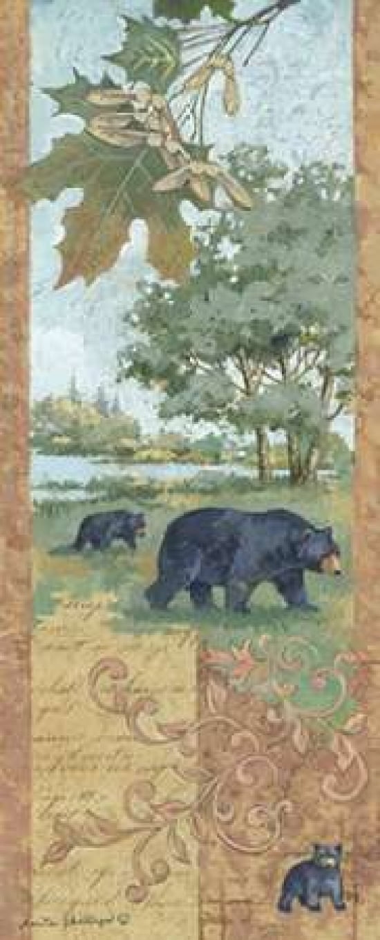 Homeward Bound Canvas Art - Anita Phillips (10 x 20)