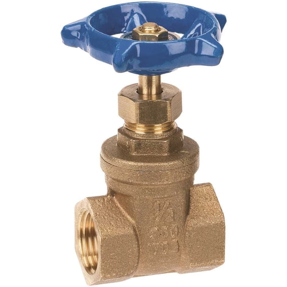Homewerks Worldwide VGTS20B10B 3 in. Brass FIP x FIP Gate Valve