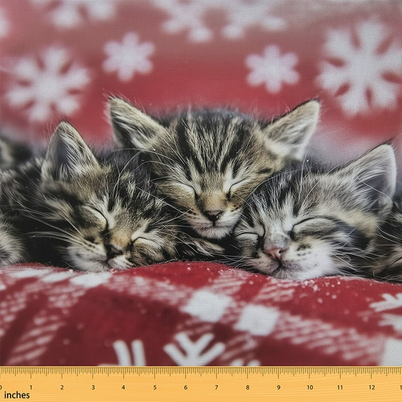 Homewish 3D Kawaii Cat 01 for Kids, Cute Kitten Animal Lover Room Decor Fabric by the Yard, Merry Christmas Sewing Fabric, Luxury Bedroom Decor