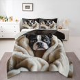 thumbnail image 1 of Homewish Boston Terrier Dog Queen Comforter Set,Kawaii Animal Comforter Sets Queen,Beige,Light Gray Reversible,3-Piece,1 Comforter and 2 Pillowcases, 1 of 7