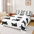 thumbnail image 1 of Homewish Boys Girls Black Cats 4pcs Bed Sheets,Cartoon Animal King Sheets,Kawaii Pet Super Cozy Sheet Set,Super Cozy Room Decor, 1 of 7