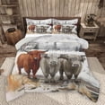 thumbnail image 1 of Homewish Highland Cattle 3 Pieces Queen Comforter Set for Teenagers,Farmhouse Animal Ultra Soft Bedding Sets,Western Cabin Bedding Comforter Set Breathable,Lightweight Room Decor,Reversible, 1 of 8