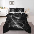 thumbnail image 1 of Homewish Lightning Flash Full Size Comforter Sets,Abstract Modern Bedding Comforter Set,Black,Black Reversible,3-Piece,1 Comforter and 2 Pillowcases, 1 of 7