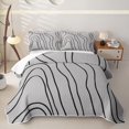 thumbnail image 1 of Homewish Modern Wavy Lines Twin Quilt Set,Geometric Artwork Twin Coverlet Set,Black Gray,2-Piece, 1 of 7