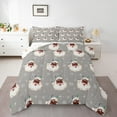 thumbnail image 1 of Homewish Santa Claus 3 Pieces Queen Comforter Set for Teens Boys Girls,Golden Snowflake Ultra Soft Bedding Sets,Xmas Festival Bedding Comforter Set,Lightweight Room Decor,Reversible, 1 of 8