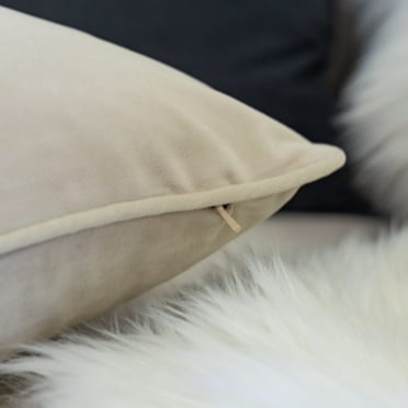 Elisa Velvet 20" Square Decorative Throw Pillow 2PK Beige