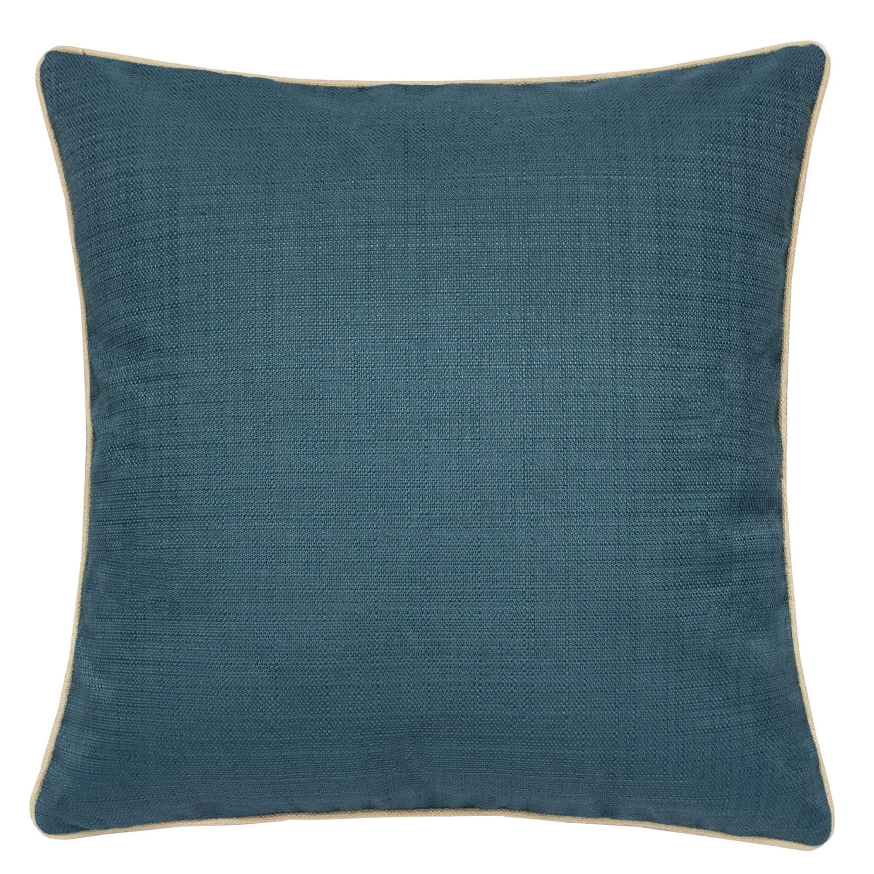 Homey Cozy Blue Velvet Throw Pillow Cover & Insert Set