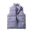 thumbnail image 1 of Homeyce Puffer Vest Outerwear for Men Quilted Sleeveless Outerwear Vest Stand Collar Solid Jacket Winter Warm Puffy Zipper Coat for Running Golf Outdoor,Purple XL, 1 of 3