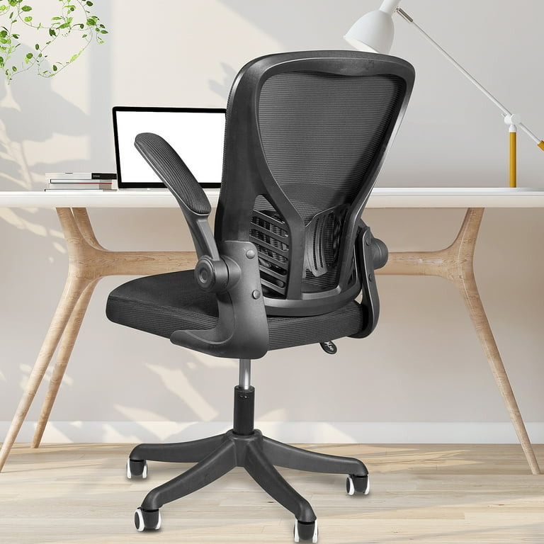 Coolhut Office Chair with Lumbar Support and Flip-up Arms, Ergonomic Desk  Chair, Black