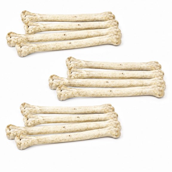 Homivra 20 Pcs Toy Plastic Human Bone Fake Bone for Halloween Halloween Props Fake Skeleton Bone Plastic Bones Model Fake Bone