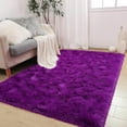 thumbnail image 1 of Homore Cute Fluffy Velvet Carpet Soft Washable Area Rugs for Bedroom/ Living Room Decoration,3'x5',Dark Fuchsia, 1 of 7