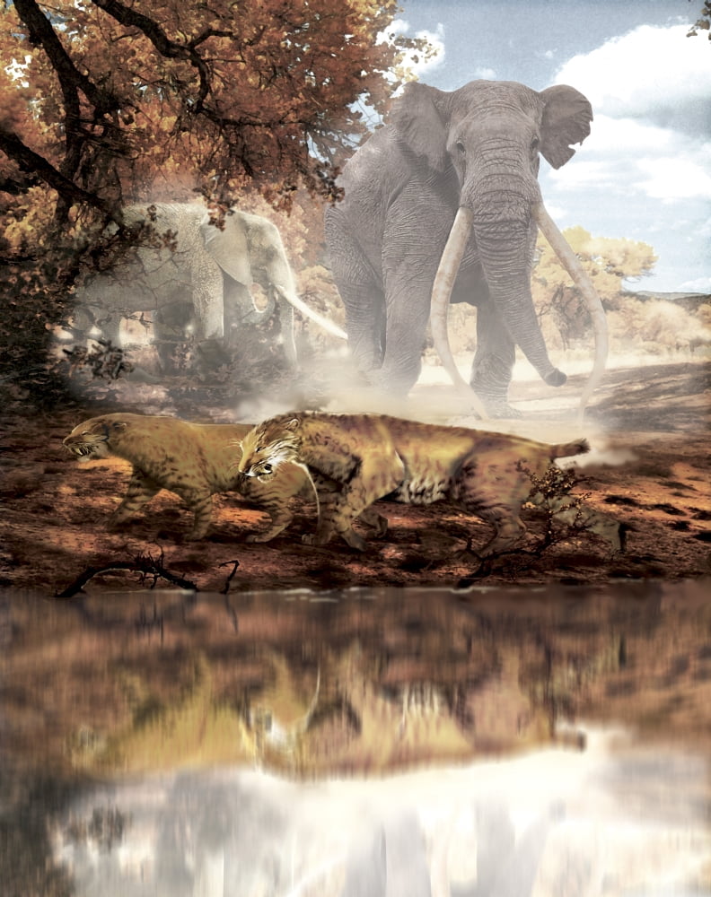 Homotherium saber-toothed cats and Anancus mammals in a prehistoric setting Canvas Art - Jan SovakStocktrek Images (13 x 16)