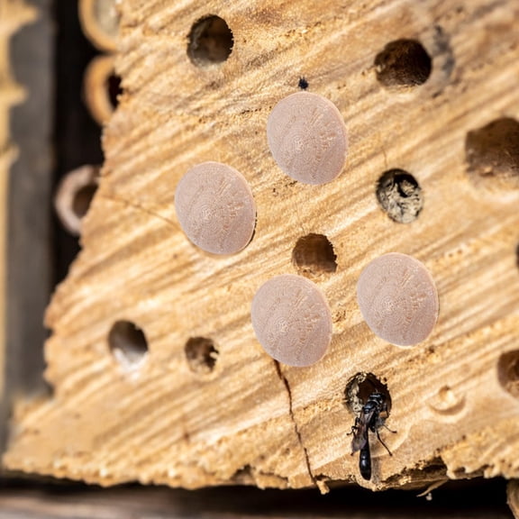 Homoyoyo 100pcs Khaki Wood Furniture Hole Plugs Conceal Screw Holes for Furniture Makers and Projects