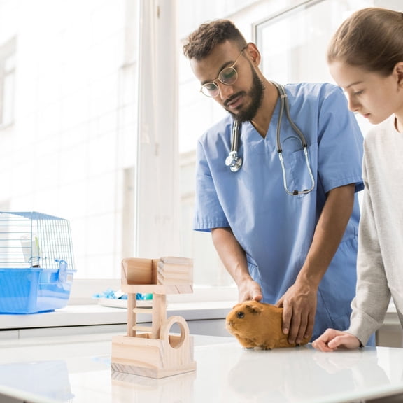 Homoyoyo Small Animal Hamster House and Hideout for , Gerbils, Mice, and Other Small Pets, 1 Pack