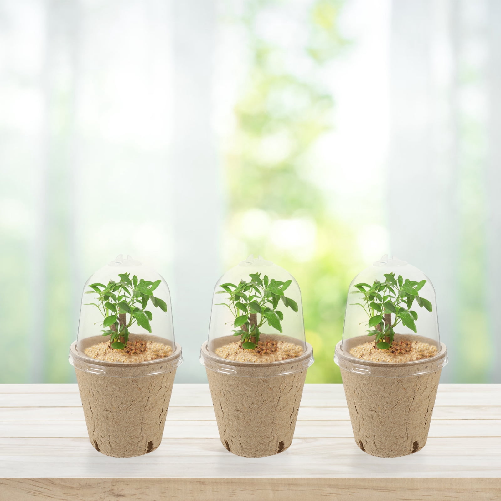 Paper Pots