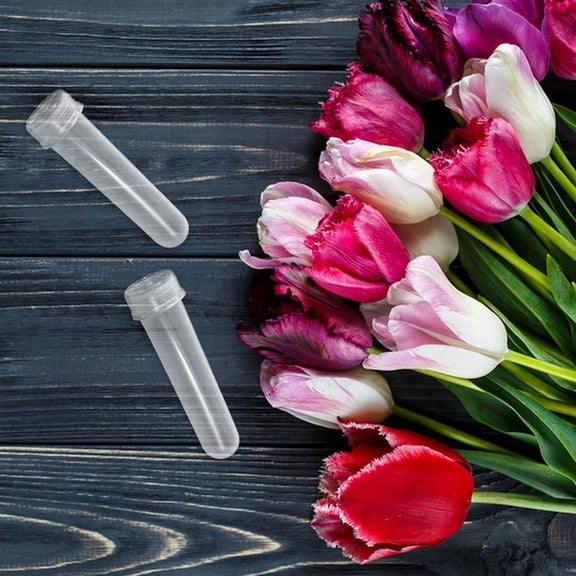 Homoyoyo 20Pcs Transparent Single Stem Flower Tubes for Plant Nourishment and Versatile Floral Arrangements