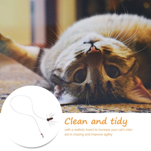 Homoyoyo 2-Pack Cat Teaser Refill with Realistic Insect Toy for Indoor Cat Enrichment and Interactive Play
