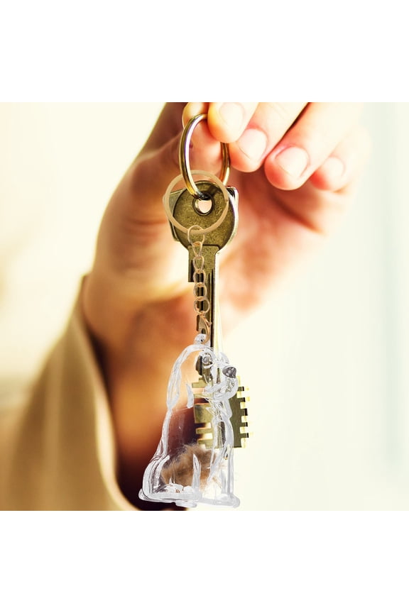 2-Pack Pet Hair Keychain Transparent Dog Box Cute Souvenir Decoration Accessory