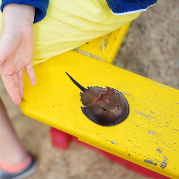 Homoyoyo 2-Pack Realistic Plastic Horseshoe Crab Figurines Light Brown Marine Animal Decor for Home Aquarium Beach