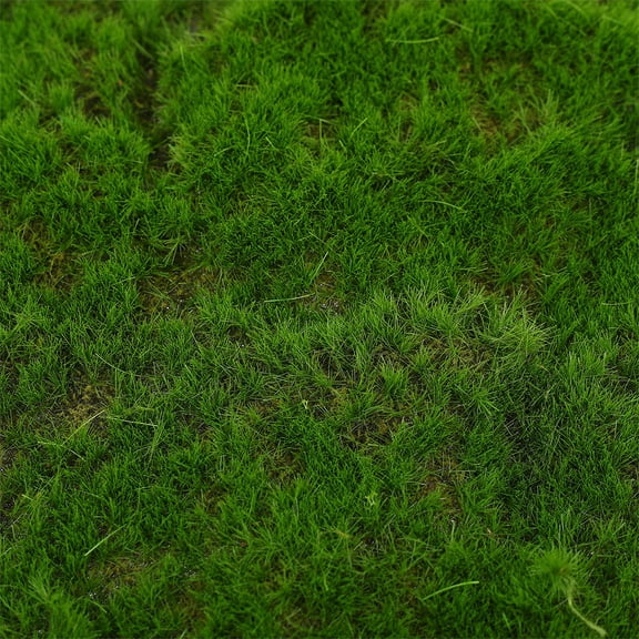Homoyoyo Artificial Moss Lawn Green Plastic Decorative Grass Mat High Realism Design 2 Pieces for