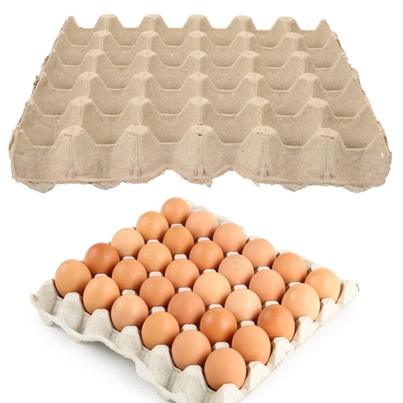 Homoyoyo 30-Count Natural Pulp Cardboard Flats Bulk Cartons Multi-Compartment Holder for Refrigerator Storage