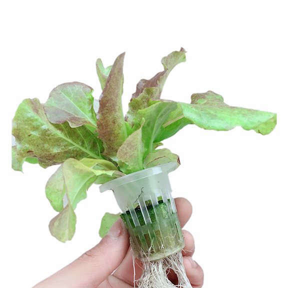 Homoyoyo 50pcs Mesh Net Pots for Hydroponic and Planting, Ideal for Vegetables, Orchids, and Soilless Gardening