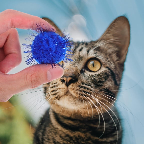 Homoyoyo 60PCS Tinsel Glitter for Cat Toys, Interactive Indoor Playtime Accessories for Cats and Kittens