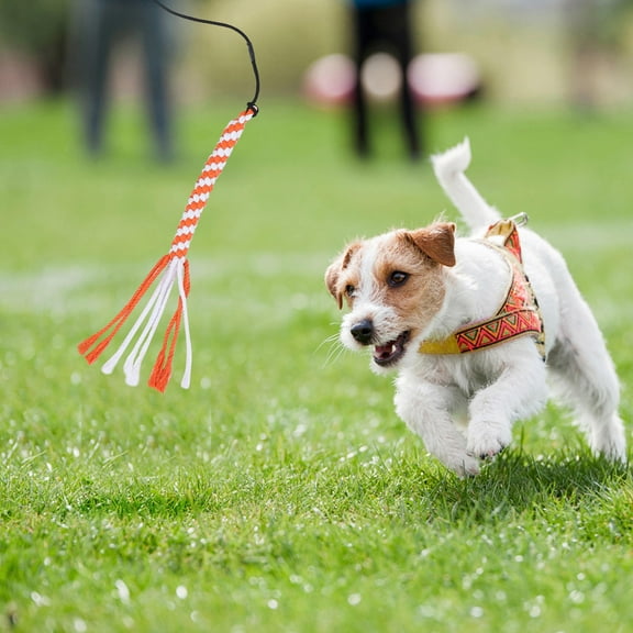 Homoyoyo Dog Chew Toys Retractable Cotton String Training Stick Pet Chewing Toy for Puppies and Dogs 1 Piece