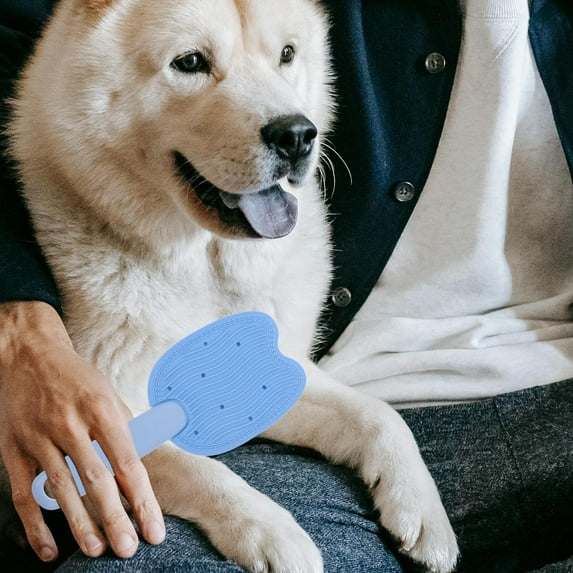 Homoyoyo Sky Double-Sided Cat Brush for Indoor Cats, Washable and Portable Grooming Tool for Pet Care