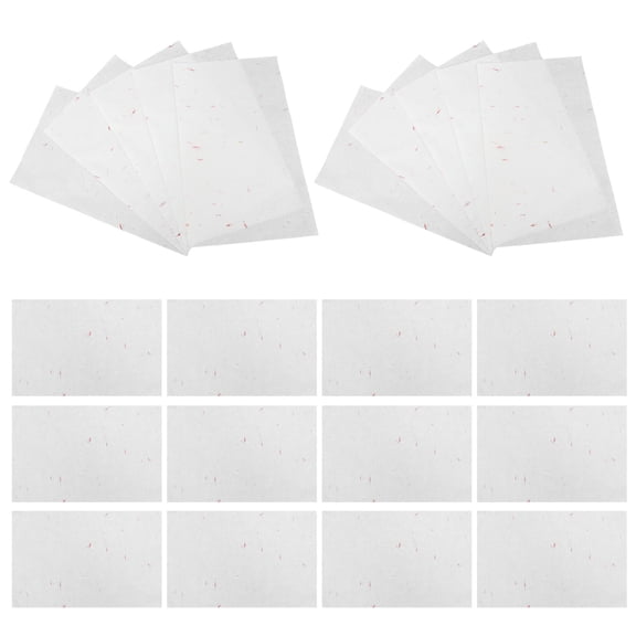 Homoyoyo Xuan Paper Chinese Calligraphy Practice Rice Paper for Ink Diffusion and Water Imbibition As Shown