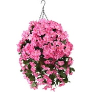 Homsunny 21.6” Coconut Lining Hanging Planters with UV Resistant Features (3 Count)