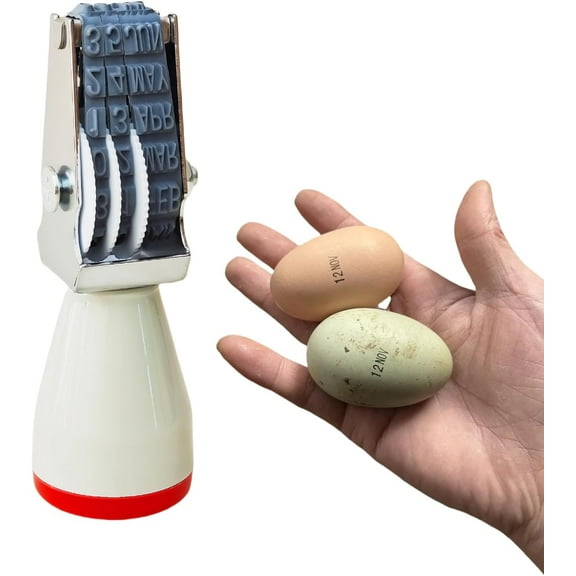 Homvik 4mm Rubber Date Stamp, Month and Date Only, for Egg Cartons Farm Office and Shipping Receiving DIY Craft Card Making Planner Scrapbooking