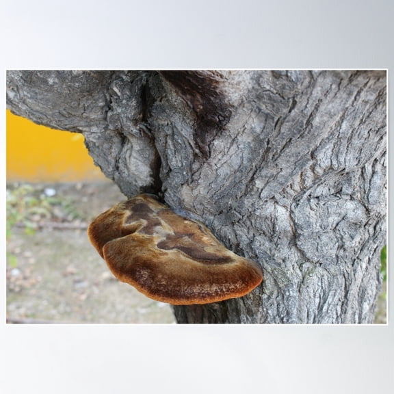 Hon Poster Wall Art, Modern Wall Decor For Living Room Bedroom, 12x18 UNFRAMED