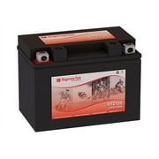 Honda 250CC NSS250 Reflex, 2005-2009 Battery Replacement
