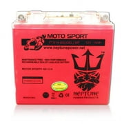 Honda FourTrax 300 4x4, 1998-2000 YTX14-BSiGELMF SLA Powersport Replacement ATV Battery by Neptune