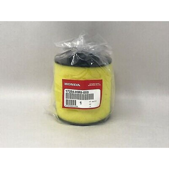 Honda Genuine OEM Element Air Filter 17254-HM8-000