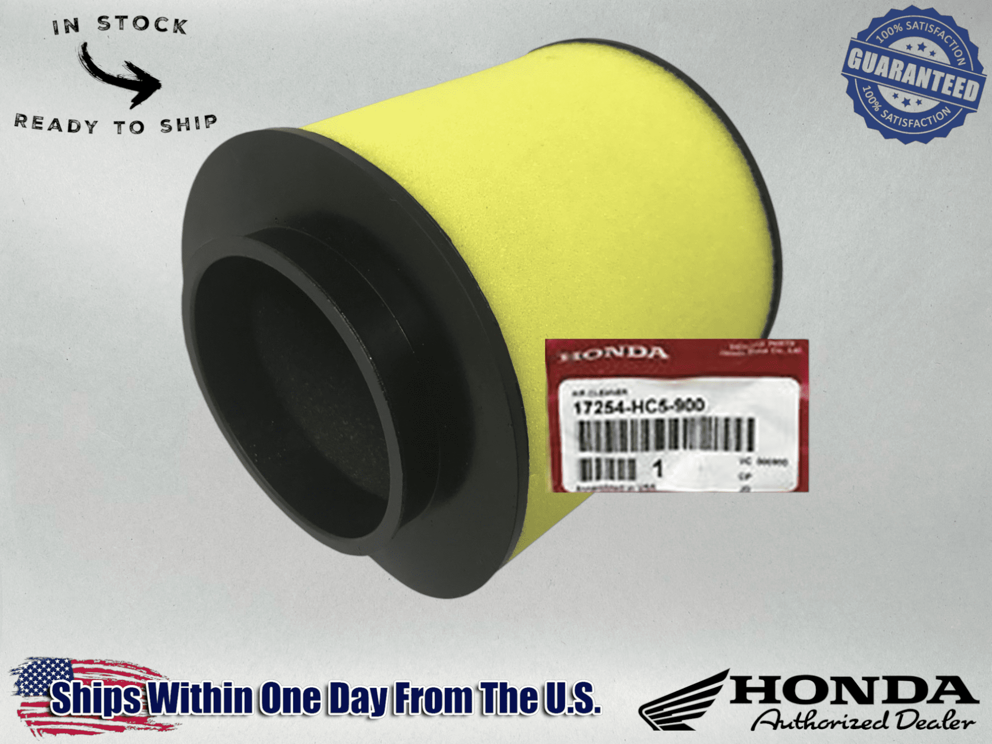 Honda OEM Air Cleaner 17254-HC5-900