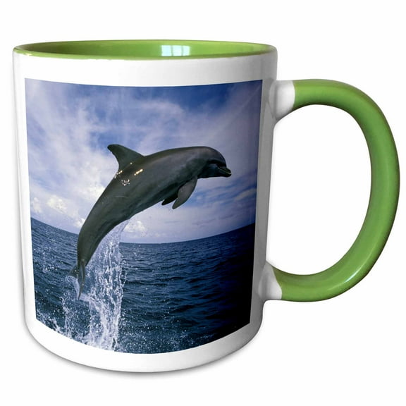 3drose, Honduras. Bottlenose Dolphin - Sa12 Swe0053 - Stuart Westmorland, 11oz Two-tone Green Mug