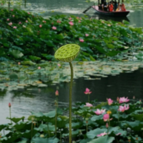 Honeeladyy 1 PCS Real Touch Artificial Lotus Pod Realistic Lotus Flower Pod with Long Stem for Flower Arrangement Buddha Altar Dining Table TV Cabinet Fish Tank