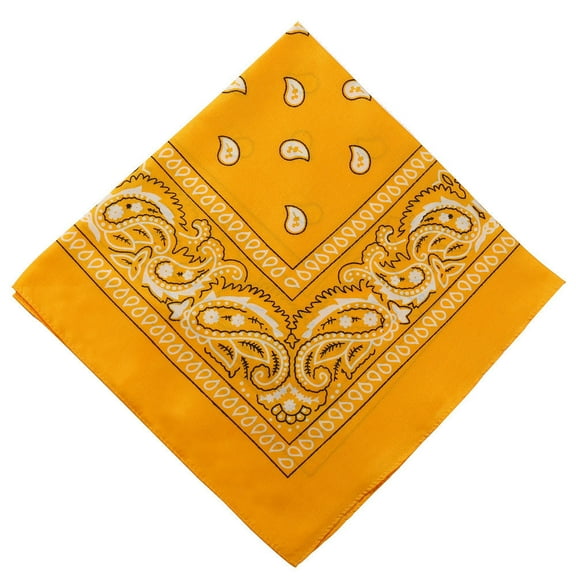 Honeeladyy 21.65 Inches Bandanas Unisex Paisley Bandanas Colorful Multi-Purpose Double Sided Headband Cowboy Head Wrap Scarf for Women Men Boys Girls, Orange