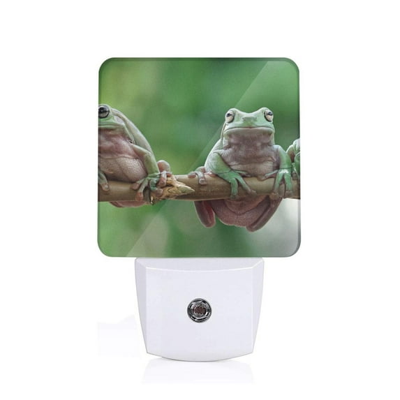Honeii Australian White Tree Frog Sitting on Branch Print LED Night Light with Light Sensor, Night Lights Plug Into Wall,Ideal for Bedrooms and Hallways-UK