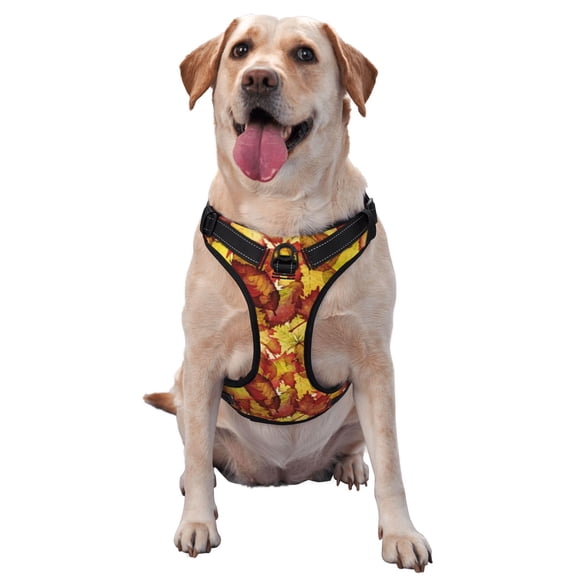 Honeii Autumn Mosaic Maple Leaves Dog Harness,A Three-Buckle Adjustable Dog Vest, Medium-Sized Dogs-X-Large