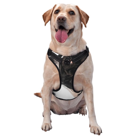 Honeii Black And White Boston Terrier Dog Harness,A Three-Buckle Adjustable Dog Vest, Medium-Sized Dogs-