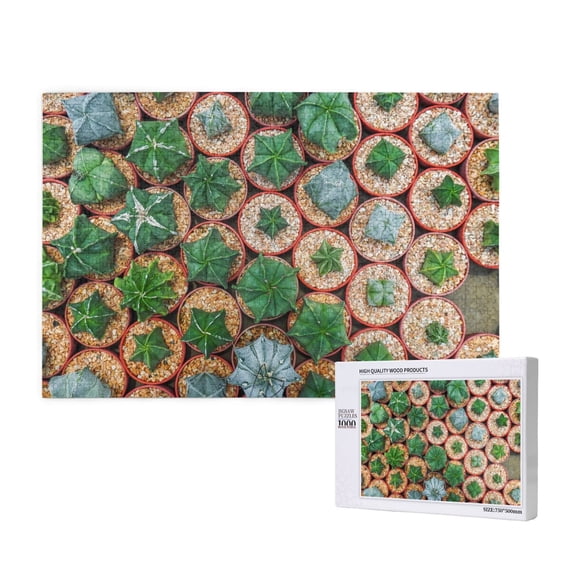 Honeii Cactus 4 Pattern 1000 Piece Puzzles for Adults, Jigsaw Puzzles