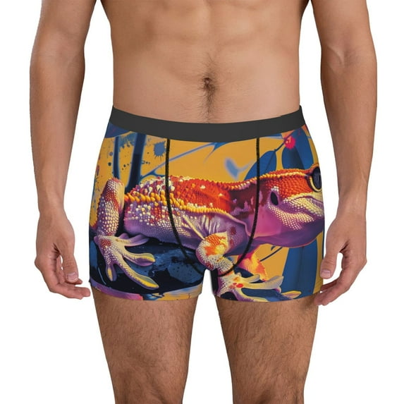 Honeii Colorful Gecko Jungle Art Print Mens Boxer Briefs Breathable,Boxer Brief for Men, Moisture-Wicking Underwear-Large